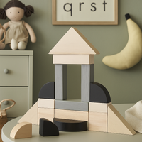 Drewniane klocki ekologiczne 15 el. dla dzieci 2 lata +  new design, Plan Toys